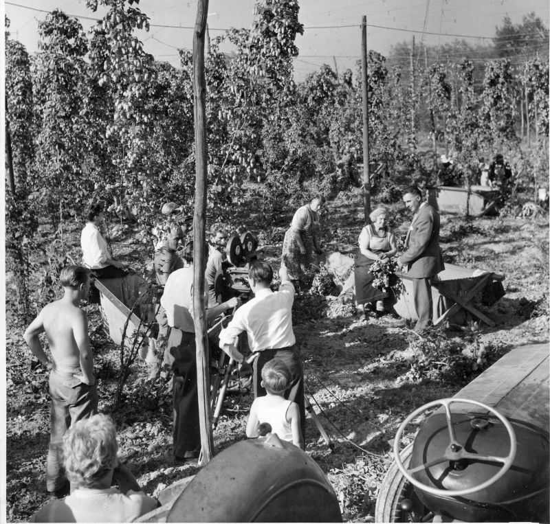 fILMING IN THE HOP GARDEN