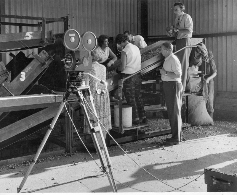 Filming in the Picking Machine