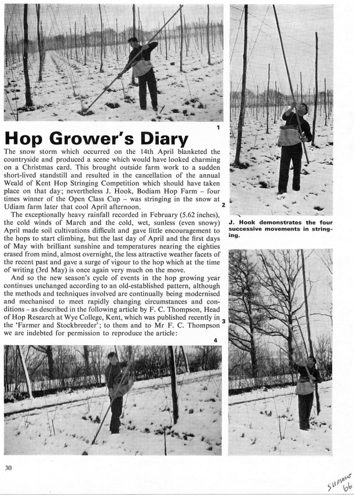 Guinness Time Summer 1966